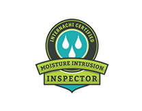 inspector