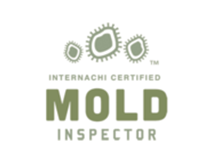 inspector