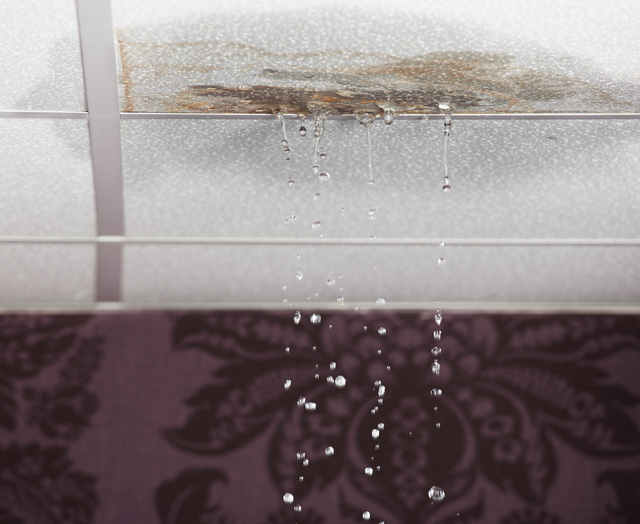 Water damage cleanup and repair by Healthy Home Solutions
